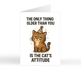 The Only Thing Older Than You Is The Cat's Attitude