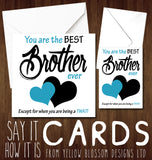 You Are The Best Brother Ever! Except For When You Are Being A TWAT