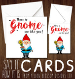 There Is Gnome One Like You ~ Greetings Card