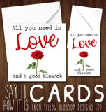 All You Need Is Love And A Good Blowjob