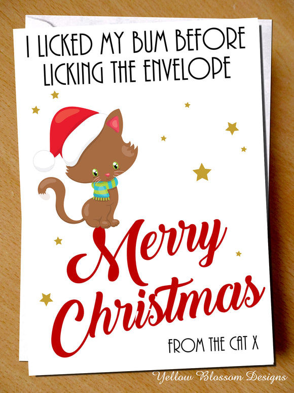 Funny Christmas Card Pet Owner Crazxy Cat Lover Lady Joke LOL Xmas From The Cat I Licked My Bum Before Licking The Envelope