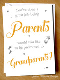 You've Done A Great Job Being A Brother ~ Promoted To Auntie ~ Pregnancy Announcement