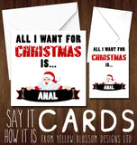 All I Want For Christmas Is Anal