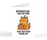 Birthdays Are Like Cat Hair