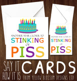 Another Year Closer To Stinking Of Piss ~ Rude Birthday Greetings Card