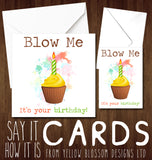 Blow Me It's Your Birthday