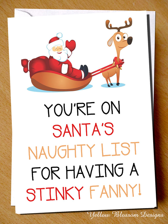 Funny Christmas Card Alternative Awkward Girls Woman Lady Female Christmas Greetings Card Rude You're On Santa's Naughty List For Having A Stinky Fanny Wife Girlfriend Best Friend Sister Auntie Cousin 