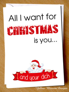 All I Want For Christmas Is You And Your Dick ~ Rude Greetings Card
