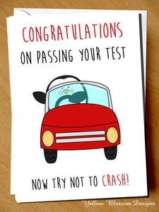 Congratulations On Passing Your Test. Now Try Not To Crash - YellowBlossomDesignsLtd