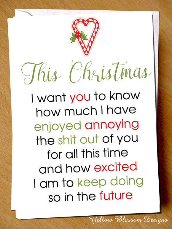 Loved Annoying You All Year ~ Couple Love Comical Christmas Card