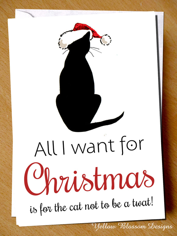 All I Want For Christmas Is The Cat Not To Be A Twat ~ Xmas Greetings Card