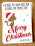 Funny Christmas Card Pet Owner Crazxy Cat Lover Lady Joke LOL Xmas From The Cat I Licked My Bum Before Licking The Envelope