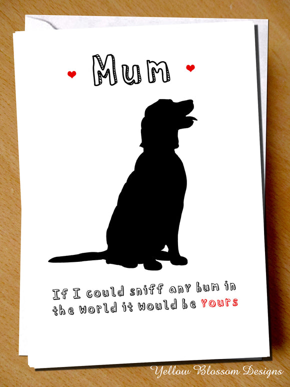 Mum, If I Could Sniff Any Bum In The World It Would Be Yours. Dog Pet