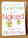 All I Want For Christmas Is You Naked Under The Mistletoe - YellowBlossomDesignsLtd