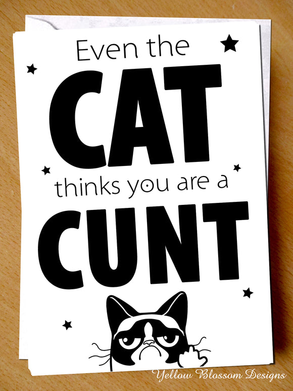 Even The Cat Thinks You Are A Cunt
