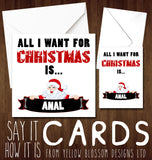  All I Want For Christmas Is Anal