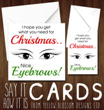 I Hope You Get What You Need For Christmas.. Nice Eyebrows!