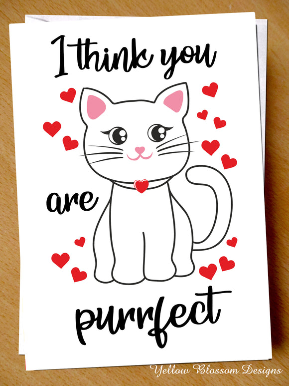 Valentines Card Partner Cute Him Her Cat You Purrfect Birthday Anniversary Love I Think You Are Purrrfect Pussy Romatic Devotion Cat Lover … 